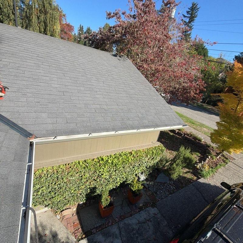 Roof shingles and gutters with clean edges and no debris
