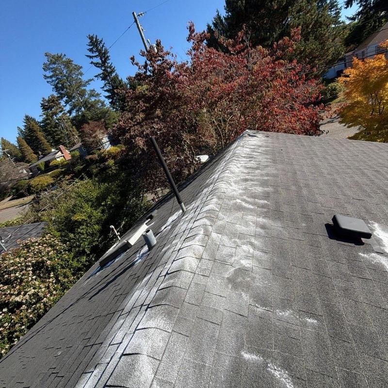 Asphalt shingle roof with moss treatment and cleaning