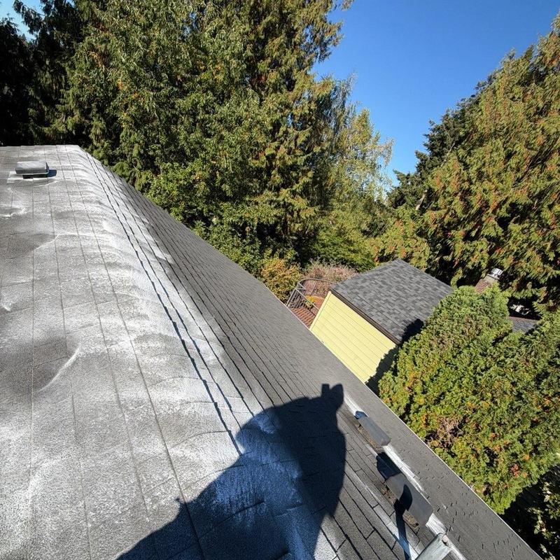 Roof shingles with moss treatment and debris cleaning