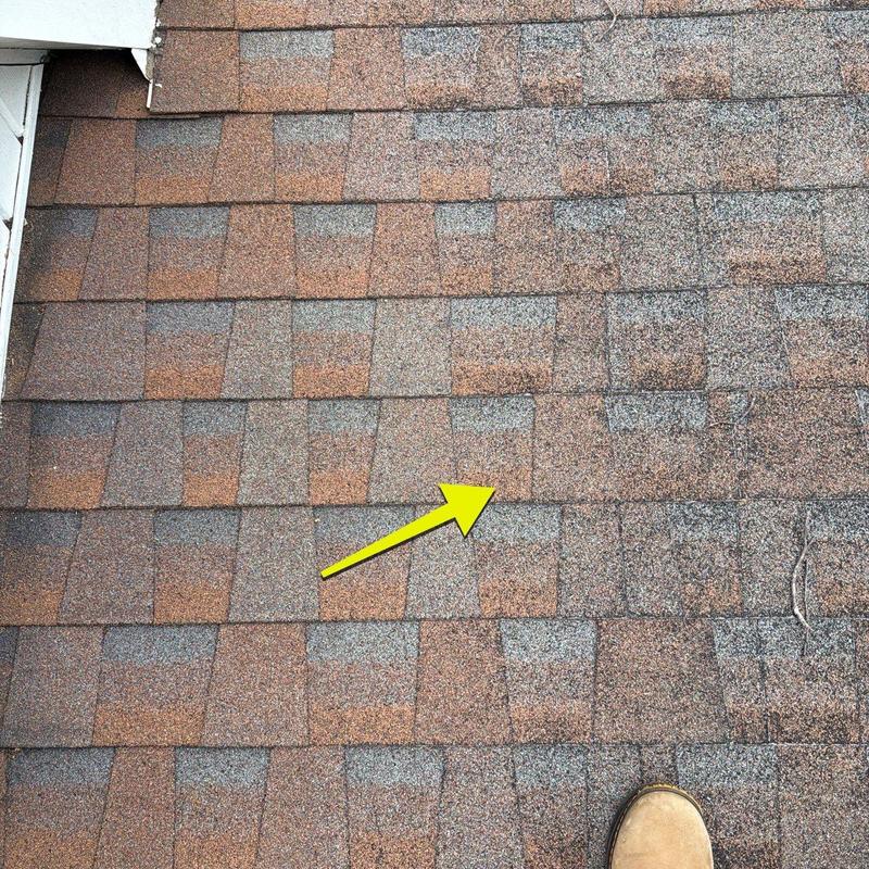 Architectural shingles with minor hail damage on roof