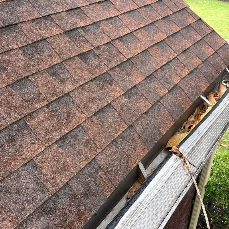 Asphalt shingle roof section with leaf-filled gutter