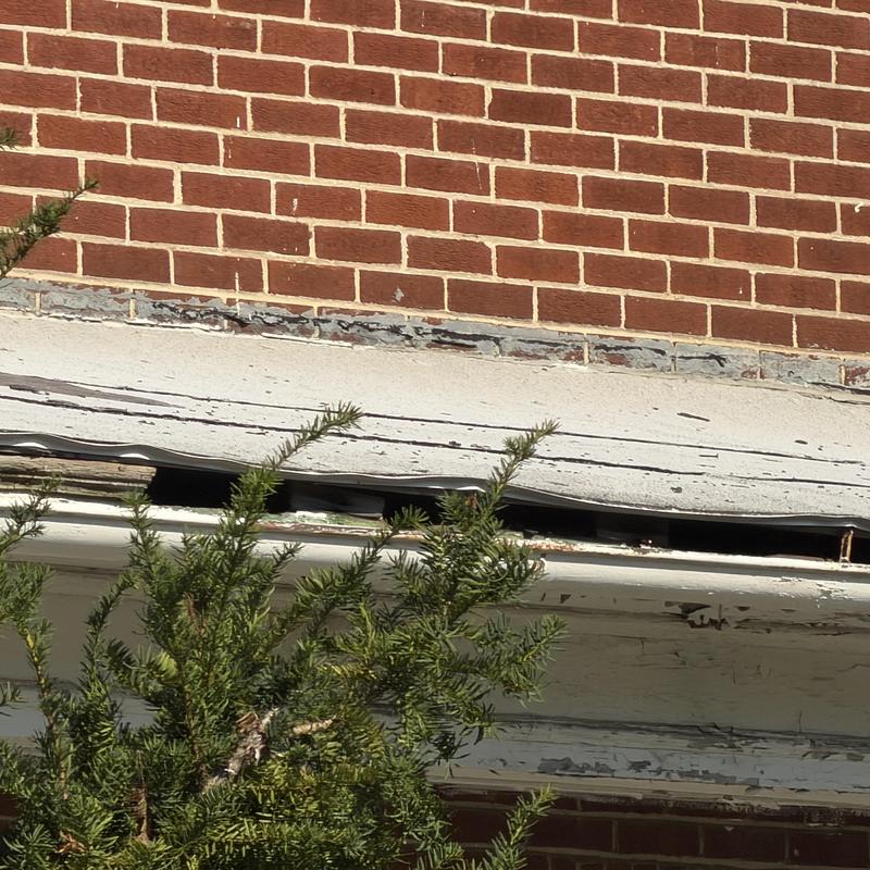 Fascia board with missing and damaged wood sections