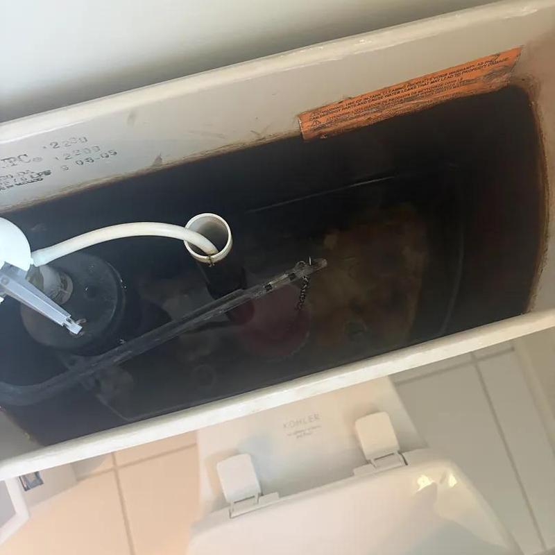 Toilet tank flapper and fill valve inside reservoir