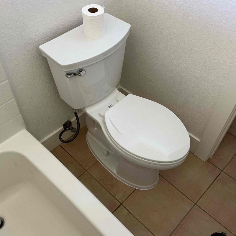 Toilet installation with new wax ring and bolts