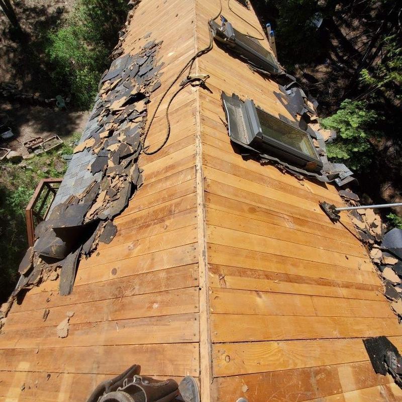 Asphalt shingle roof removal on cabin in forested area