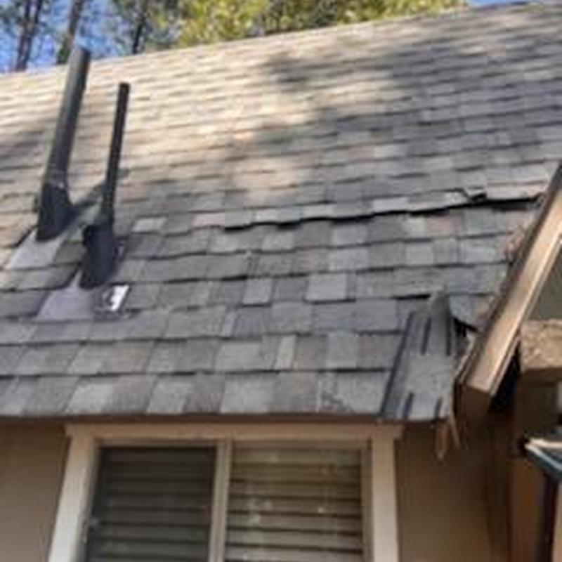 Asphalt shingle roof with lifting and damage on cabin