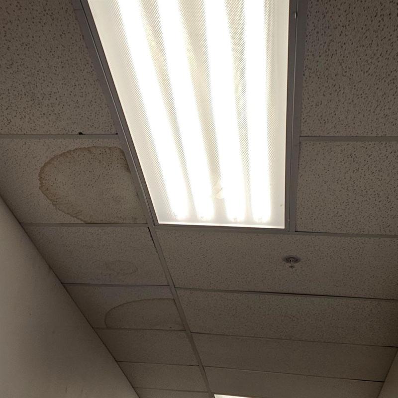 Water-damaged ceiling tiles near fluorescent light fixture