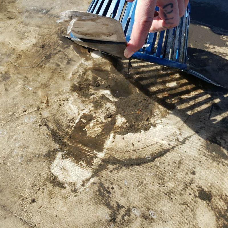 Flat roof drain cover lifted showing clog and debris Flat roof drain cover lifted showing clog and debris