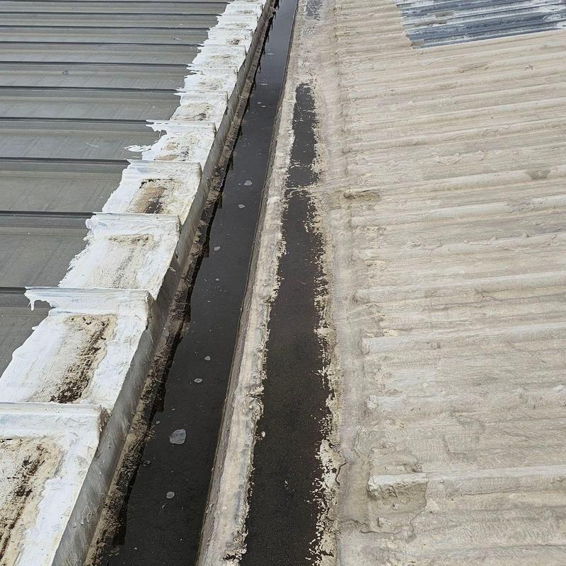 Metal roof seam with water accumulation and damage Metal roof seam with water accumulation and damage