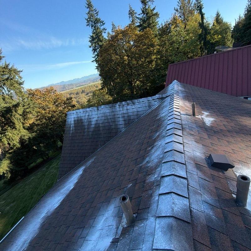Roof shingles with moss treatment and cleaning