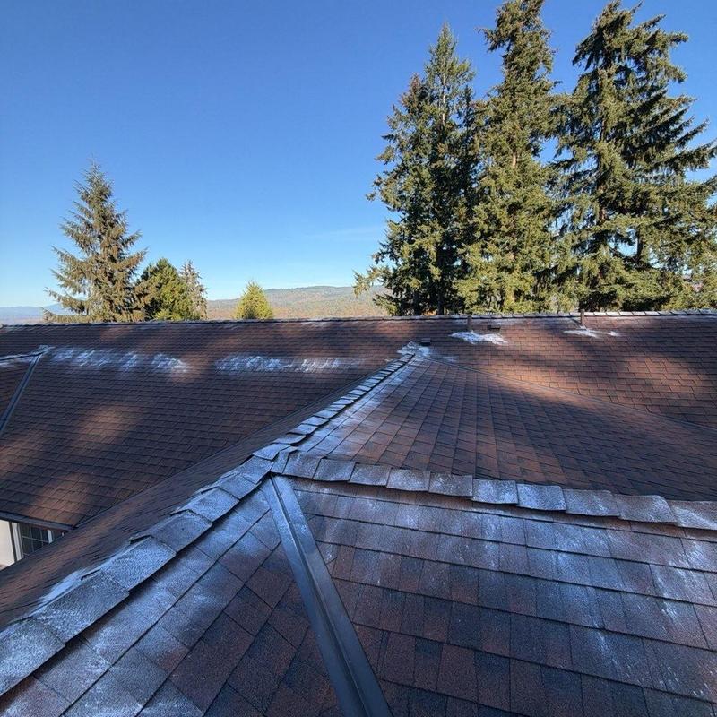 Roof shingles with moss treatment and cleaning results