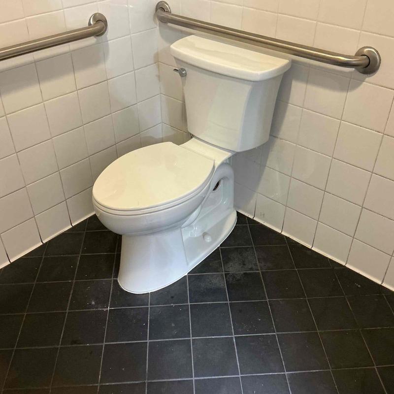 Kohler toilet with stainless steel grab bars installed
