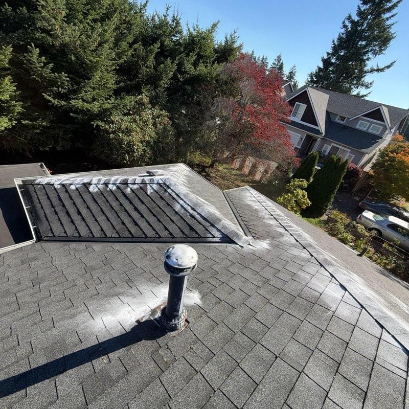Roof moss treatment and gutter cleaning on shingle roof