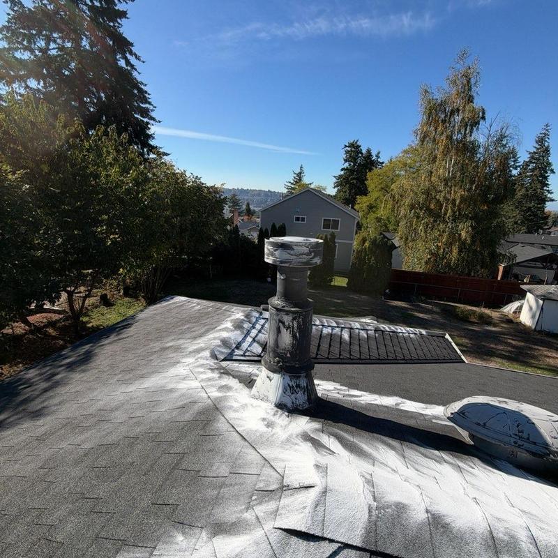 Roof with vent pipe and moss treatment application