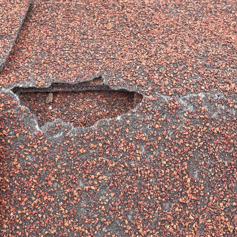 Asphalt roof shingle with storm damage hole