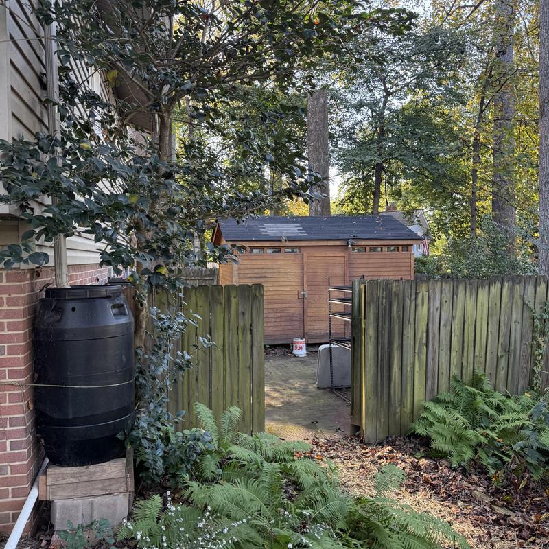 Shed roof with damaged shingles and plywood panels Shed roof with damaged shingles and plywood panels