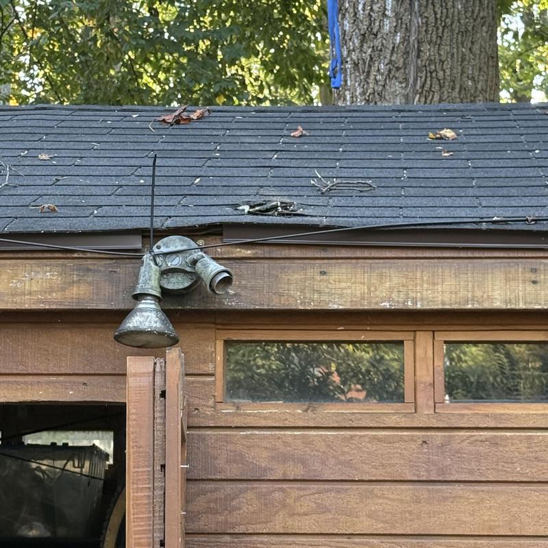 Shed roof shingles with tree damage and missing drip edge Shed roof shingles with tree damage and missing drip edge