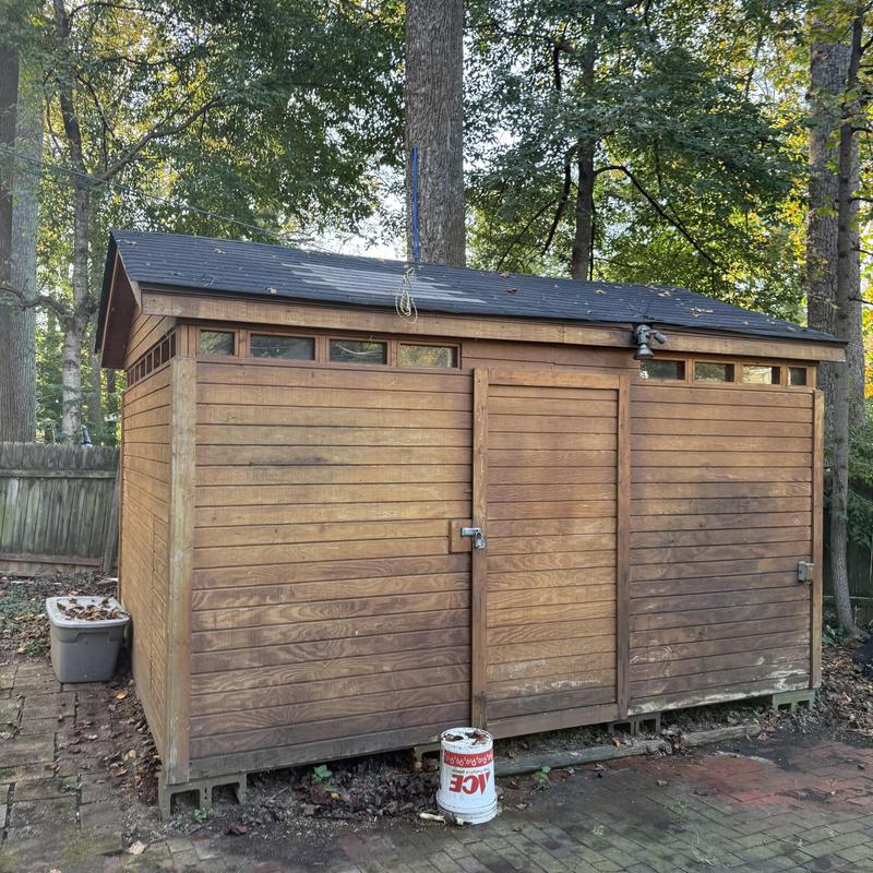 Shed roof with shingle and plywood damage from trees Shed roof with shingle and plywood damage from trees