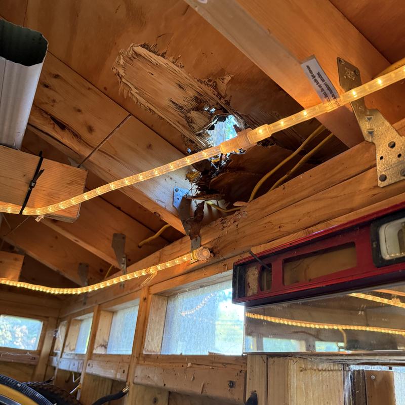 Plywood roof damage with hole from fallen tree limbs Plywood roof damage with hole from fallen tree limbs