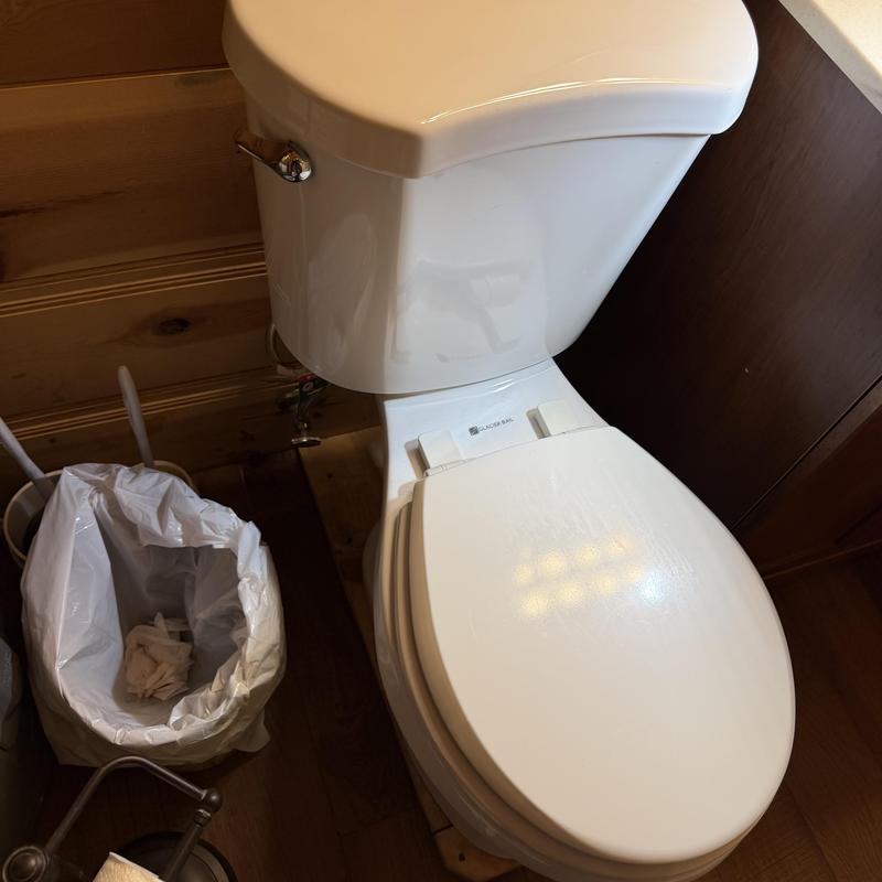 Toilet reset in hall bathroom with trash can nearby Toilet reset in hall bathroom with trash can nearby