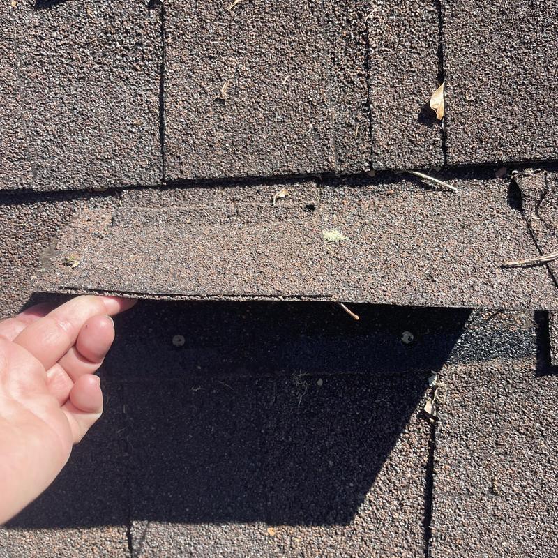 Asphalt shingle lifted showing missing nails and damage