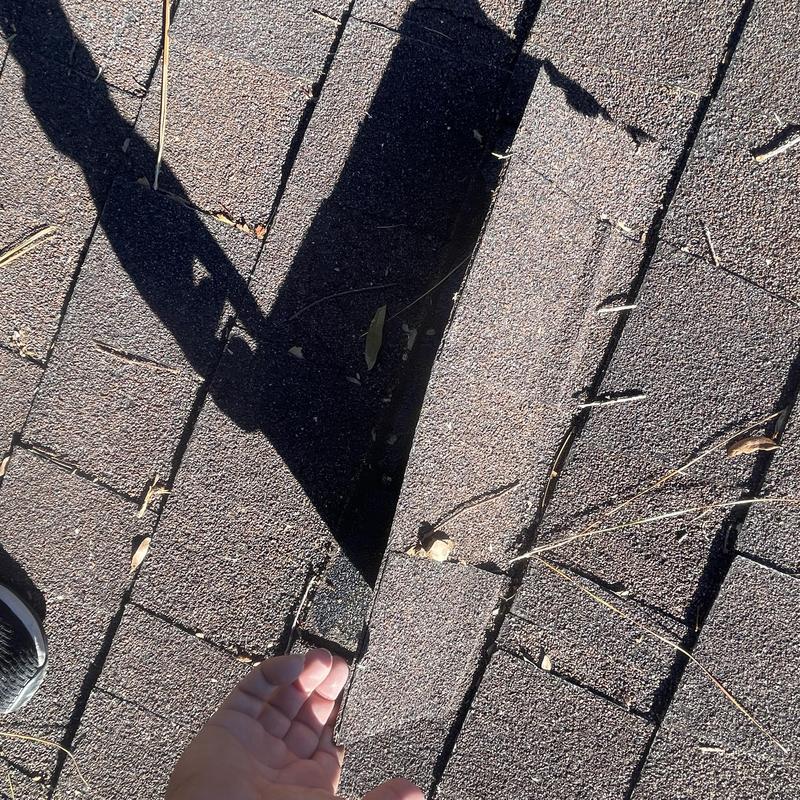 Asphalt roof shingles with curling and damage