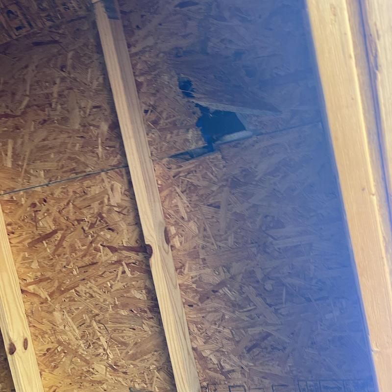 Roof sheathing with hole from missing shingles