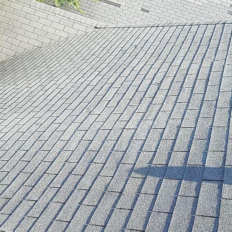 Shingle roof with hail and wind damage repair