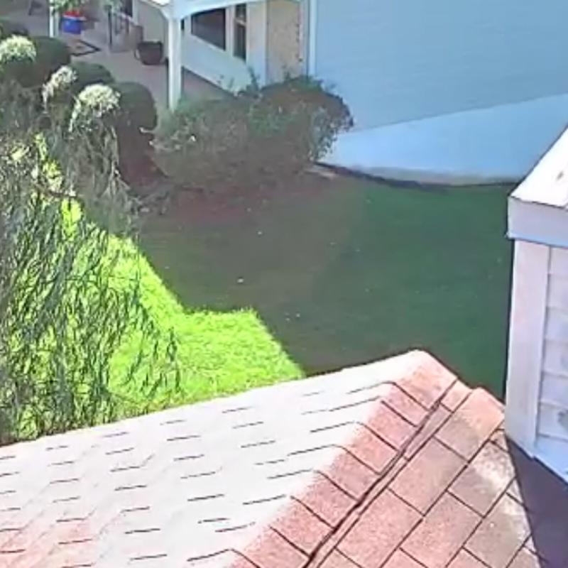 Roof shingles with hail and wind damage in Fairfax VA Roof shingles with hail and wind damage in Fairfax VA