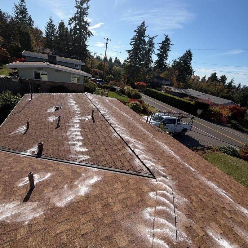 Asphalt shingle roof with moss treatment application