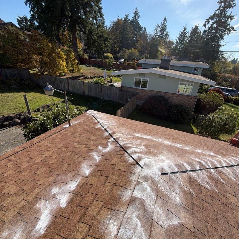 Asphalt shingle roof with white moss treatment residue