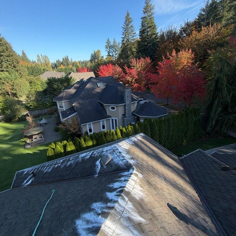 Roof moss treatment and debris cleaning on shingles