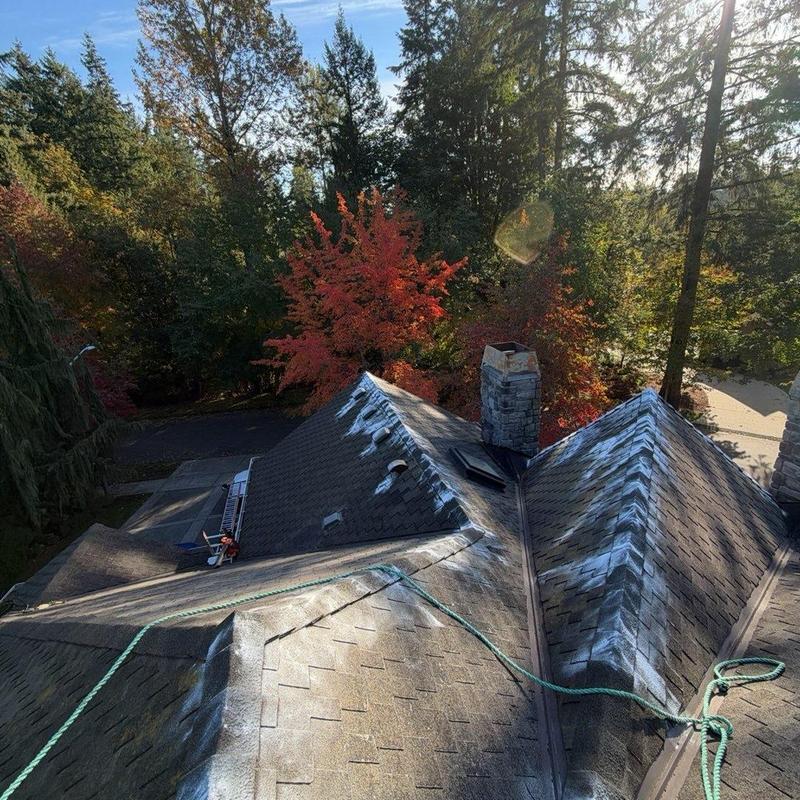 Roof shingles with moss treatment and cleaning in progress