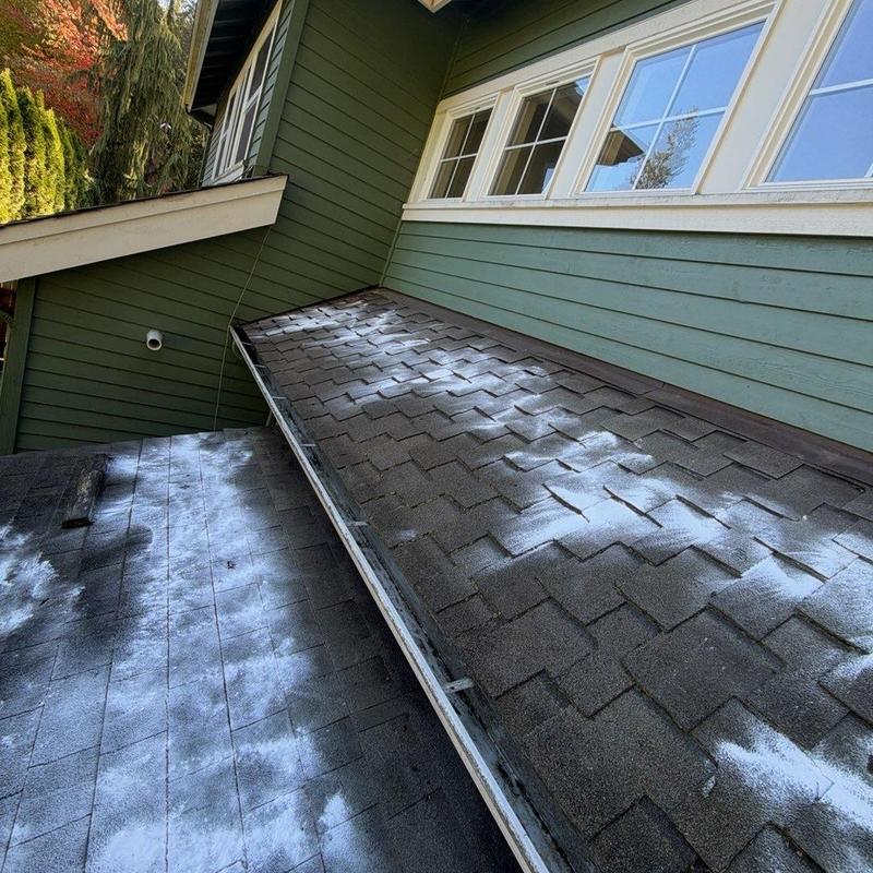 Roof with moss treatment and cleaning residue