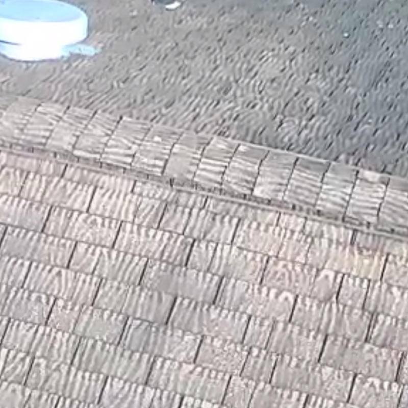 CertainTeed architectural shingle roof with new ridge cap CertainTeed architectural shingle roof with new ridge cap