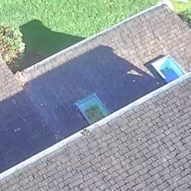 CertainTeed architectural shingle roof with skylights CertainTeed architectural shingle roof with skylights