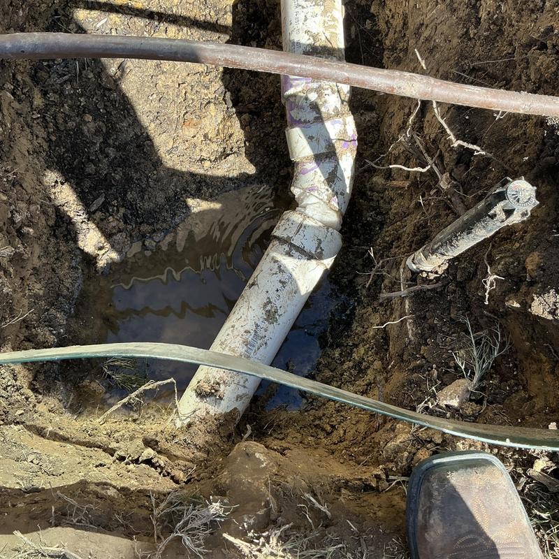 3-inch sewer pipe with broken section and roots