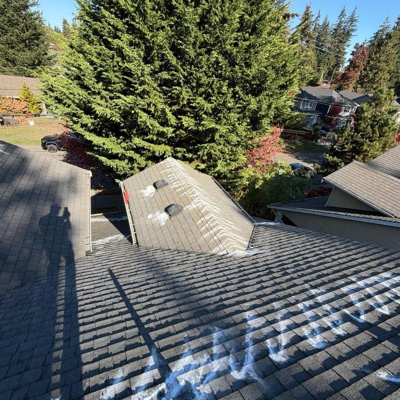 Roof shingles with chalk markings after inspection