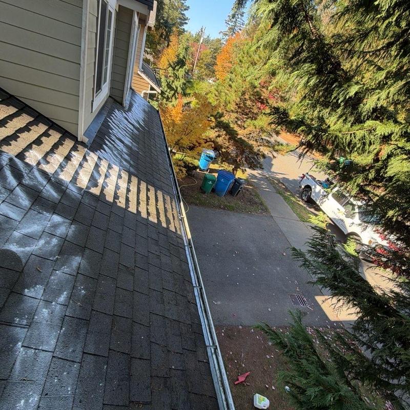Roof shingles with moss treatment and gutter cleaning