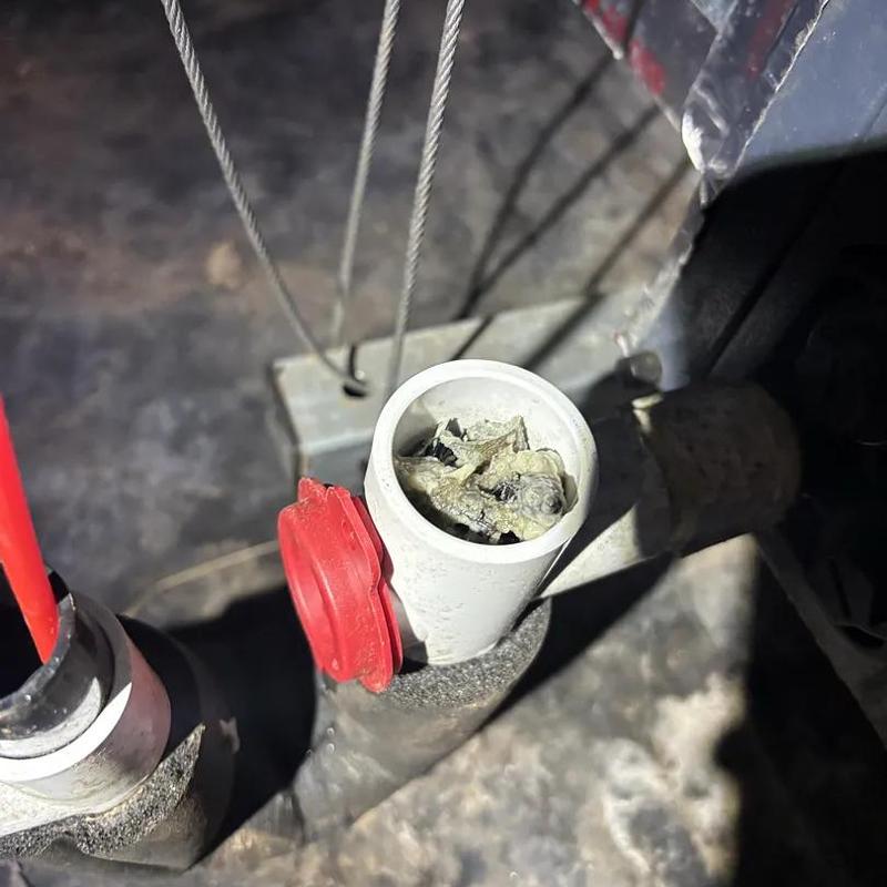 Drain line clogged with debris inside pipe opening