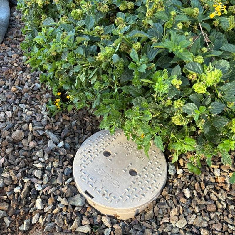 Ion-exchange water softener installation with bypass valve in Queen Creek home