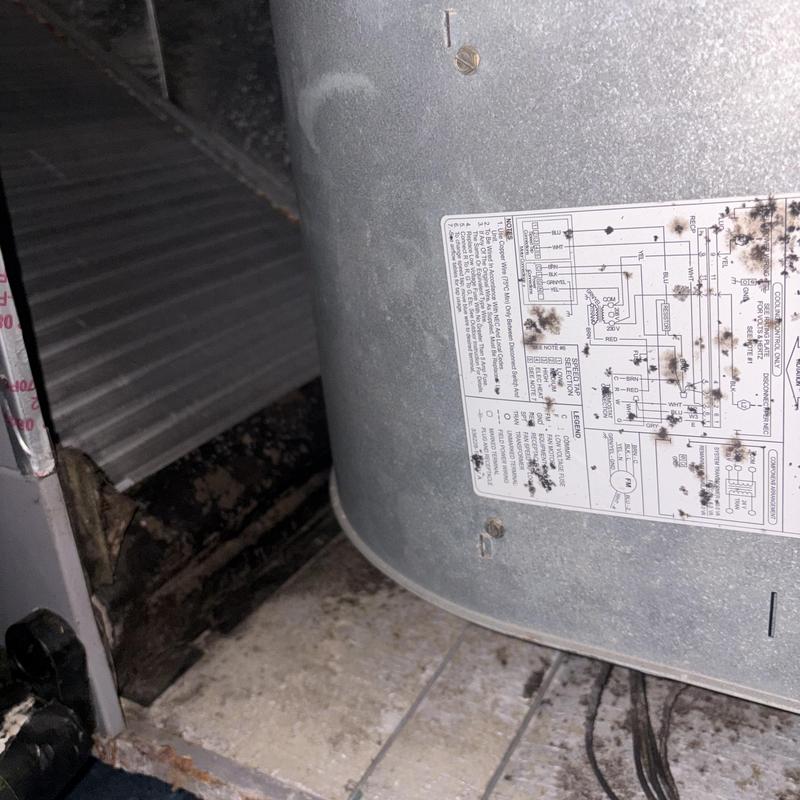 Furnace blower assembly with wiring schematic and mold Furnace blower assembly with wiring schematic and mold