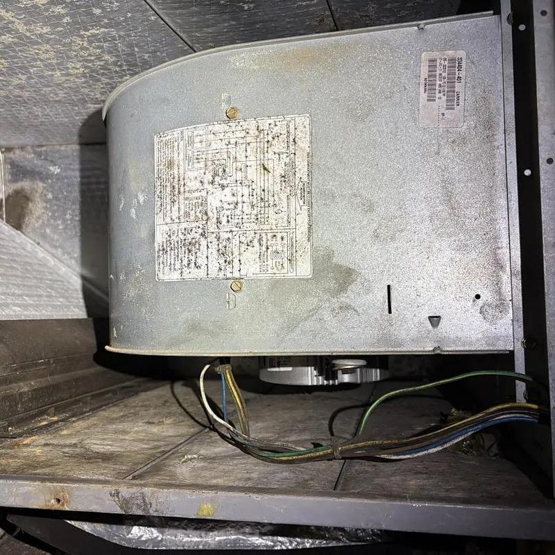 Blower motor assembly with wiring inside HVAC unit Blower motor assembly with wiring inside HVAC unit