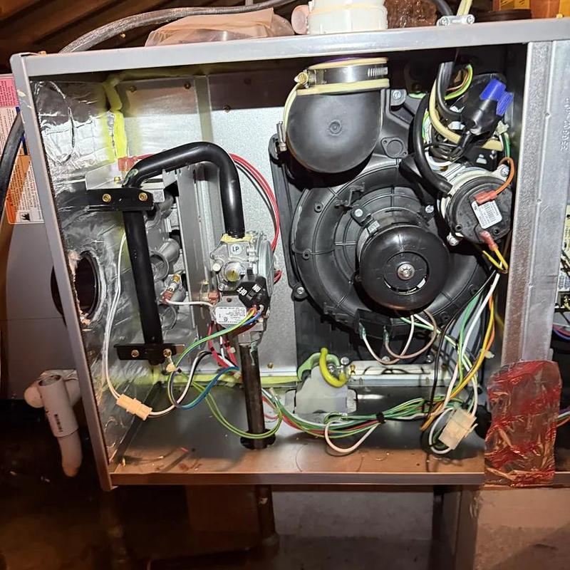 Furnace combustion fan and gas valve assembly interior Furnace combustion fan and gas valve assembly interior