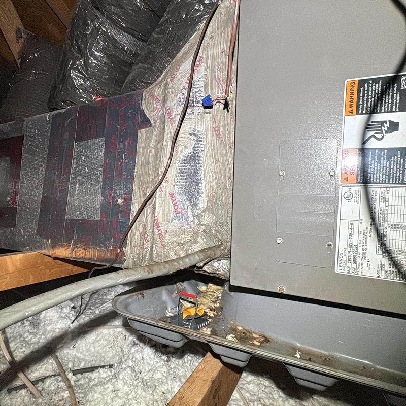 Ductwork with critter damage and insulation loose Ductwork with critter damage and insulation loose