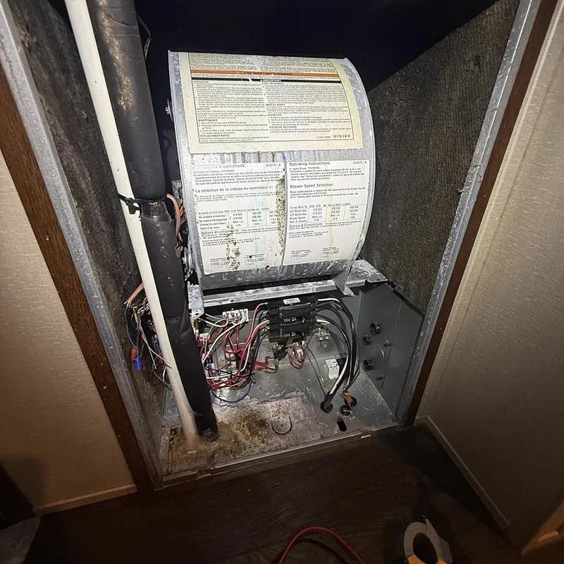 Furnace blower motor and wiring system checkup Furnace blower motor and wiring system checkup