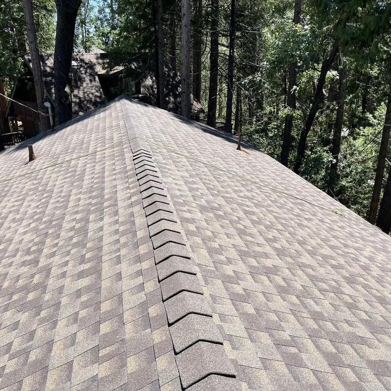 GAF asphalt shingle roof on cabin in forest