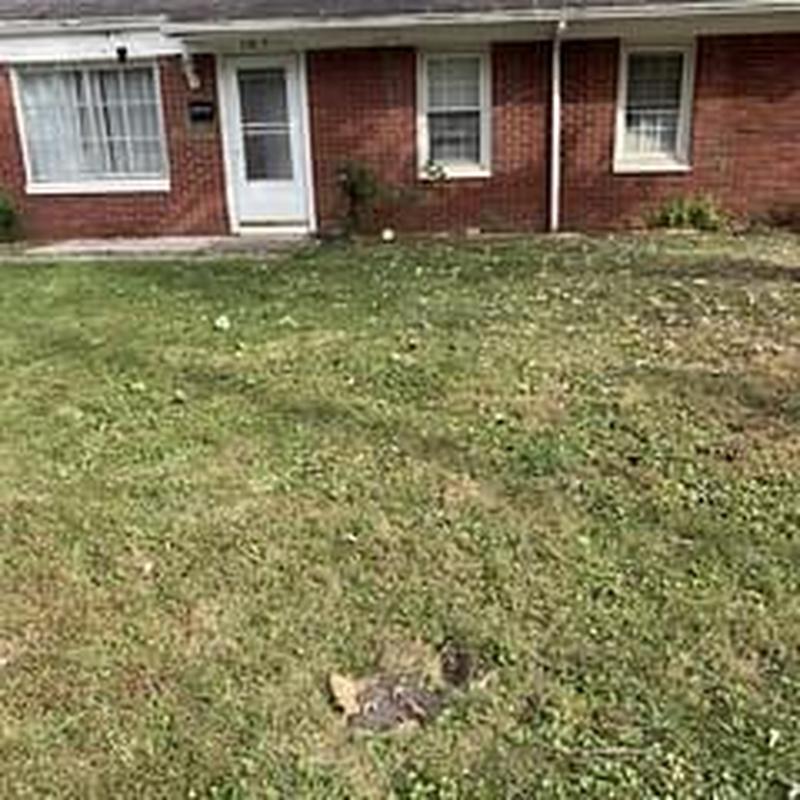 Main sewer line access in front yard of brick home
