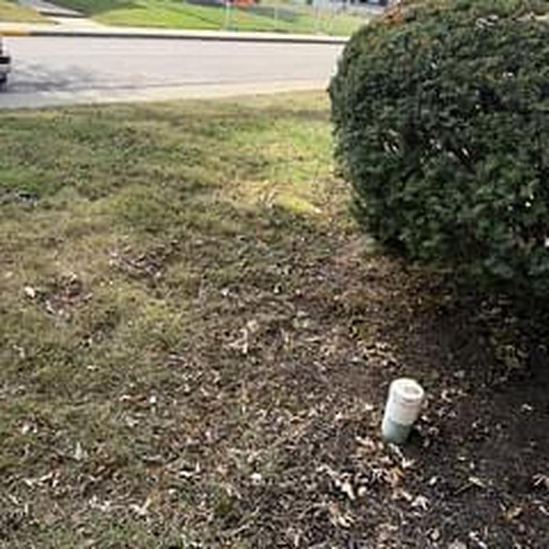 Main line cleanout pipe near bush outdoors