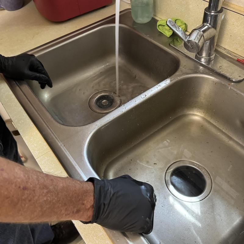 Garbage disposal unclogged from potato skins in kitchen sink